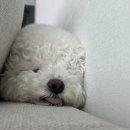 다온재원 이미지