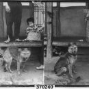 1937년 유리원판사진 분석 이미지