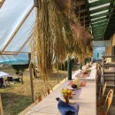 의곡초 신원분교 이미지