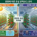 광량에 따른 온실 양액(EC)관리 방법 이미지