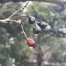 모네에서 앤디워홀까지 이미지