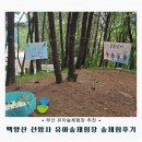 부산 유아숲체험장 추천｜백양산 선암사 유아숲체험장 숲생태놀이 후기
