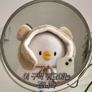 더오리 이미지