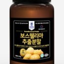 요들네이쳐