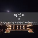 월정교 화장실 | 경주 월정교 야경 공영주차장 화장실 겨울 밤산책 후기