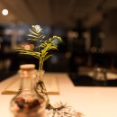 스테이마농 이미지