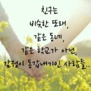 소학 Daum카페