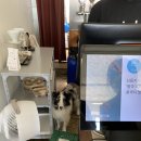 돈부리파스타푸드