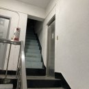 대구 교동 스트릿패션 편집샵 컬렉팅룸 대구 collectingroom daegu 후기