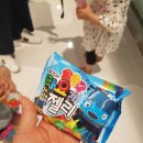 멍멍타요 네이버블로그