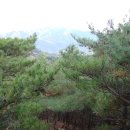 팔공산올레길 7코스 이미지