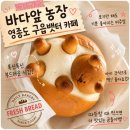 빵농장 | 영종도 구읍뱃터 오션뷰 카페 바다앞농장 달임빵 포장 후기