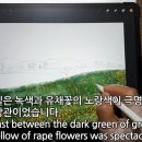 신도Flower&Garden