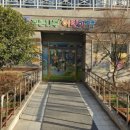 푸른나무어린이집 이미지