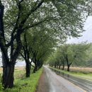 패러글라이딩 국가대표 훈련장(활공장) 이미지