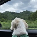 영풍모텔 이미지