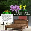 돌표돌침대 이미지