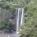 서귀포자연휴양림야영장 이미지