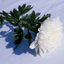 오포읍 매산리 산154-14 | 경기도 봉안당 납골당 추모공원 금액 및 예약 시설