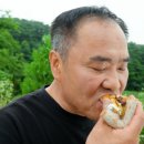 홍성토종한우 이미지