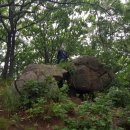 대전둘레산길(5구간) 이미지