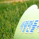 보리, 愛 Daum카페