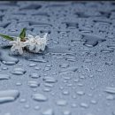 취미미술 이미지