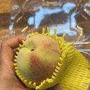 오남매마켓