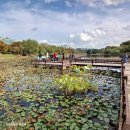 일산호수공원 이미지