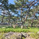 샘터찻집 - 여주시 여양로 1461 | 갑장산(상주, 806m)