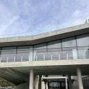 티니스테이서울 | 충남 보령 풀빌라 내돈내산 후기 투명 카약을 탈 수 있는 펜션ㅣ엘리스테이