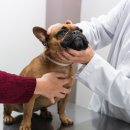 동행동물병원 이미지