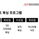 익스트림 복싱짐 이미지