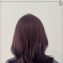 아뜰리에헤어 이미지