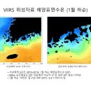 황칠나무 재배가 용이한 지역 탐구 이미지