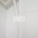 월드탄성 이미지