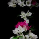 공감퍼스트 이미지