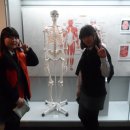 을지대학교 범석의학박물관 이미지