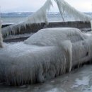 거두점 넥센타이어 이미지