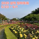 (주)코바스 | 5월 삼척 장미축제 장미공원 주차 행사 일정 정보(2025 당일 방문 후기)