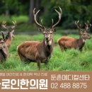 바로인한의원 네이버블로그