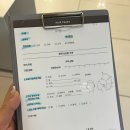 청아마트 | [인천/계양] 계양구 미용실 ‘이철헤어커커 계양 롯데마트점’ 청아 팀장님 베이직 클리닉 후기