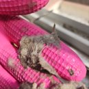 부산신호사랑으로부영 5차 | 부산 강서구 신호부영사랑으로 5차 입주청소 했어요.