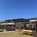 무녀2구 마을버스월명점 | 군산 여행 필수 코스 바다 앞 노란 버스 카페 무녀2구마을버스 감성 후기