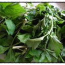 곤이농장 이미지