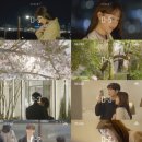 시그널 이미지