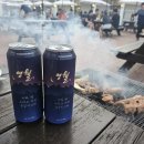 하송로 | 영월 애견 동반 여행 후기, 동강시스타 리조트 &amp; 두메브런치 솔직 리뷰 + 애견 숙소 앱 &#39;페텔&#39;