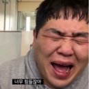 미에스테틱 이미지