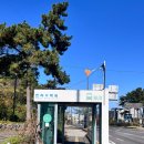 버스정류소_한라병원 | 제주도 공항 근처 가볼만한 곳, 버스타고 한라수목원