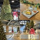 칠곡 가산 제006호 | 아이와 함께 대구근교 칠곡 가산수피아 대형 카페 [모하 더 그린하우스]